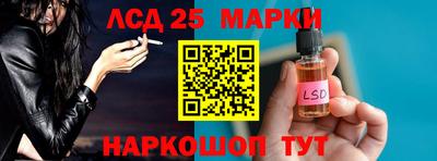 шишки Можга