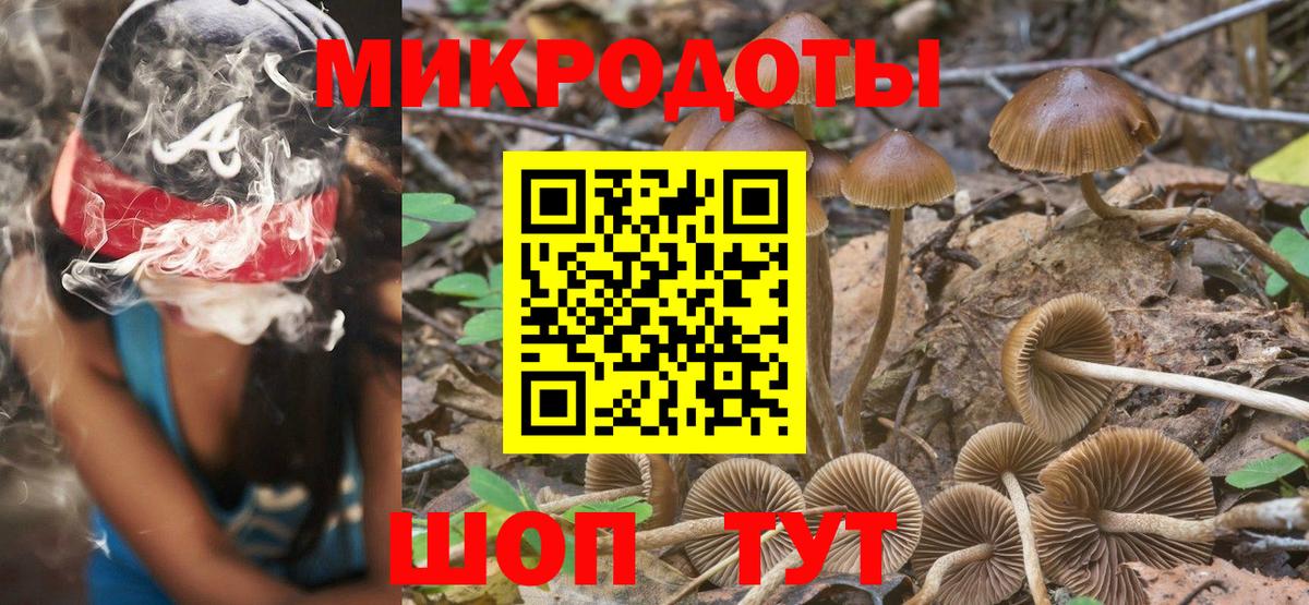 Галлюциногенные грибы Psilocybine cubensis Богородск